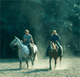 Bridle Trails State Park